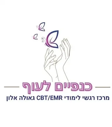 כנפיים לעוף